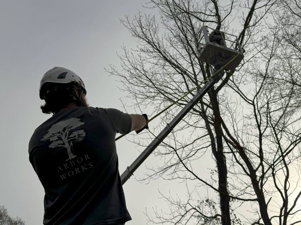 A person in safety gear uses a long pole to trim branches from a tall, leafless tree. Their shirt features "Arbor Works" and a tree logo, highlighting expert Northshore Tree Trimming under an overcast sky.