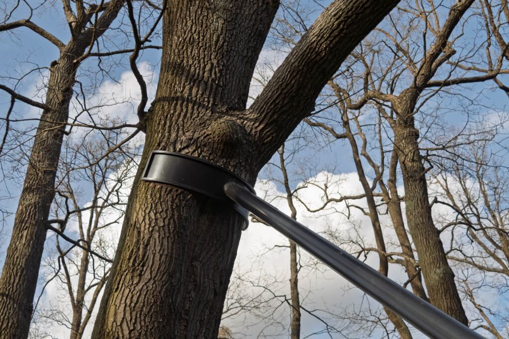 A long saw on a pole is being used to cut a large branch off a tall, leafless tree. The sky is blue with some clouds, and other bare trees are visible in the background—part of Northshore Tree Storm Prep & Risk Mitigation.