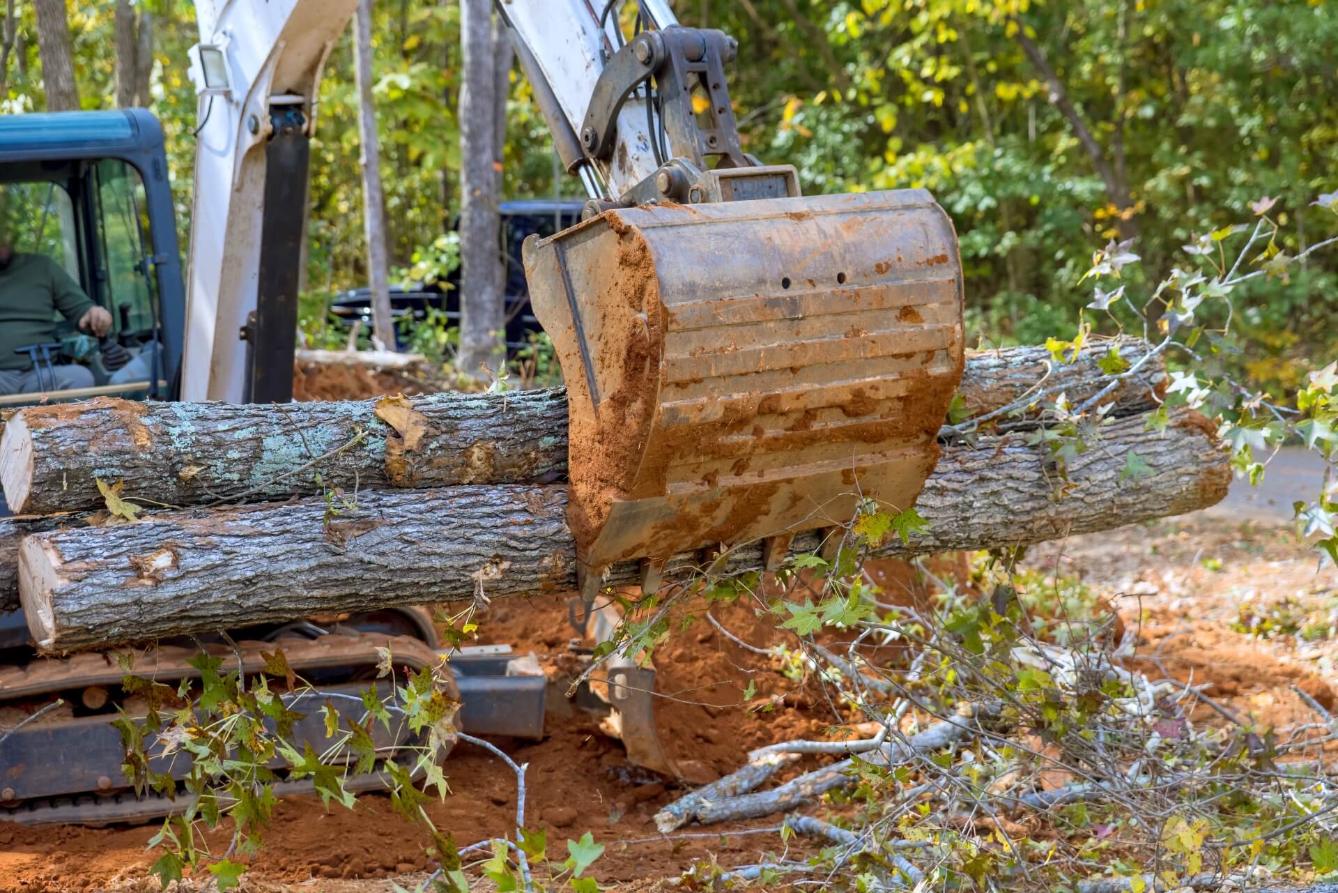 An excavator with a rusty bucket is lifting several large tree logs in a wooded area, raising questions like "will my homeowners insurance cover preventative tree removal" amid freshly dug earth and cut branches in the foreground.