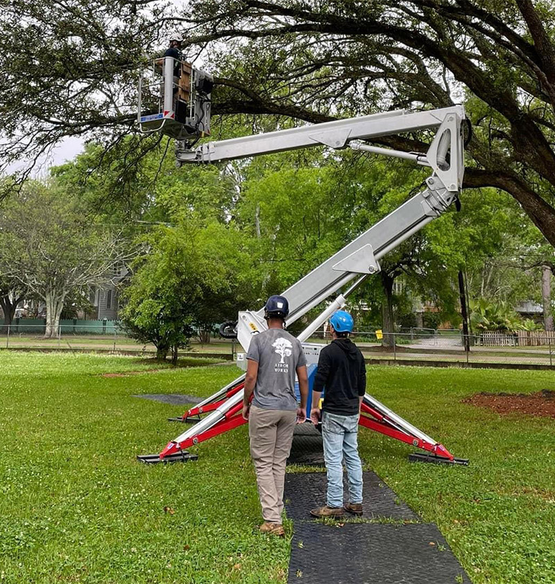 Two people watch a worker from Tree Removal Hammond LA in a raised cherry picker lift, trimming branches from a tall tree in a grassy park area, with safety mats placed under the lift’s legs.