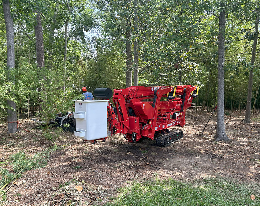 Crane-assisted work by an arborist in Covington, LA during high-access tree maintenance. The equipment enables safe and efficient removal of large limbs, supporting structural pruning and storm preparedness on mature trees.