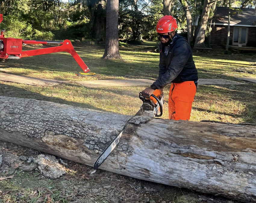 Arborist in Covington, LA cutting a log with a chainsaw as part of tree removal operations. Precision cutting ensures safety and control during takedown of hazardous or storm-damaged trees in residential areas.