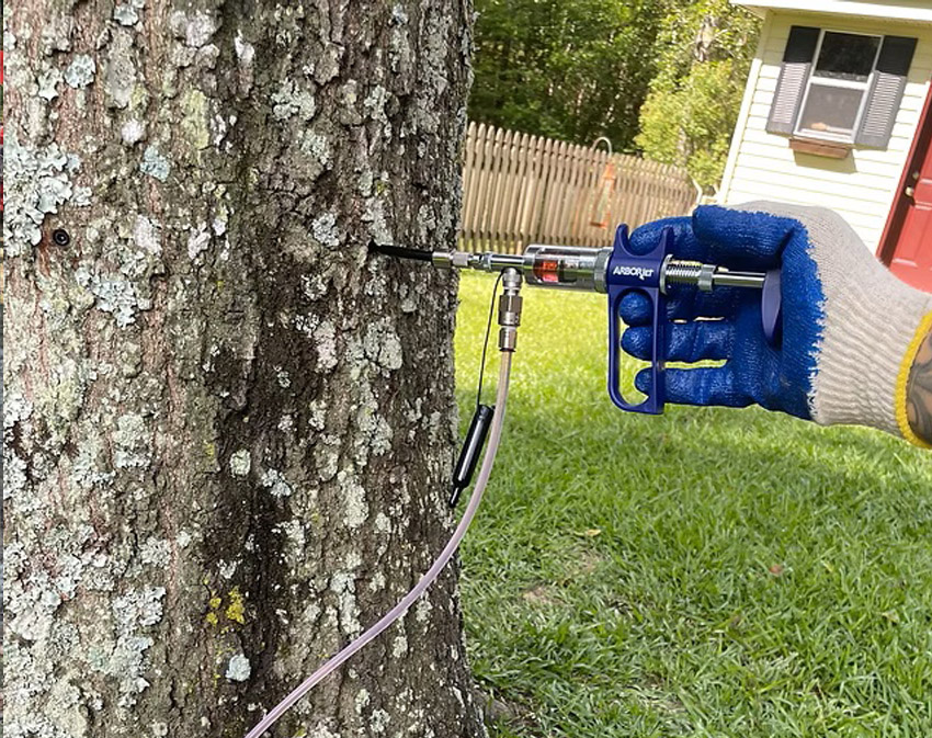 An Arborist Folsom LA uses a syringe-like tool with a hose to inject a liquid into the trunk of a tree. The gloved hand works carefully in a grassy yard, with a house and wooden fence visible in the background.