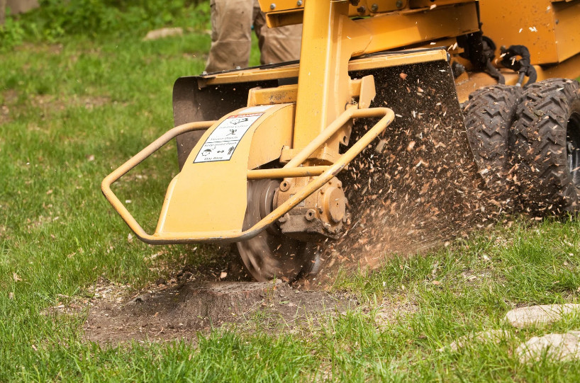 A professional arborist is operating a stump grinder to remove the base of a recently cut tree. Wood chips and soil are scattered around the work area, indicating active stump removal. The scene reflects the equipment and labor involved in clearing tree remnants, offering visual context for understanding tree removal cost based on stump size, location, and job complexity.