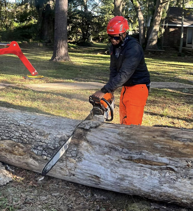 An arborist wearing protective gear is using a chainsaw to cut through a large tree trunk during a removal job in a wooded residential area of Covington, LA. Sawdust fills the air as the log is being sectioned for safe removal. This image captures the intensity and precision involved in tree removal in Covington, LA, showcasing the expertise required for handling large trees in a suburban environment.