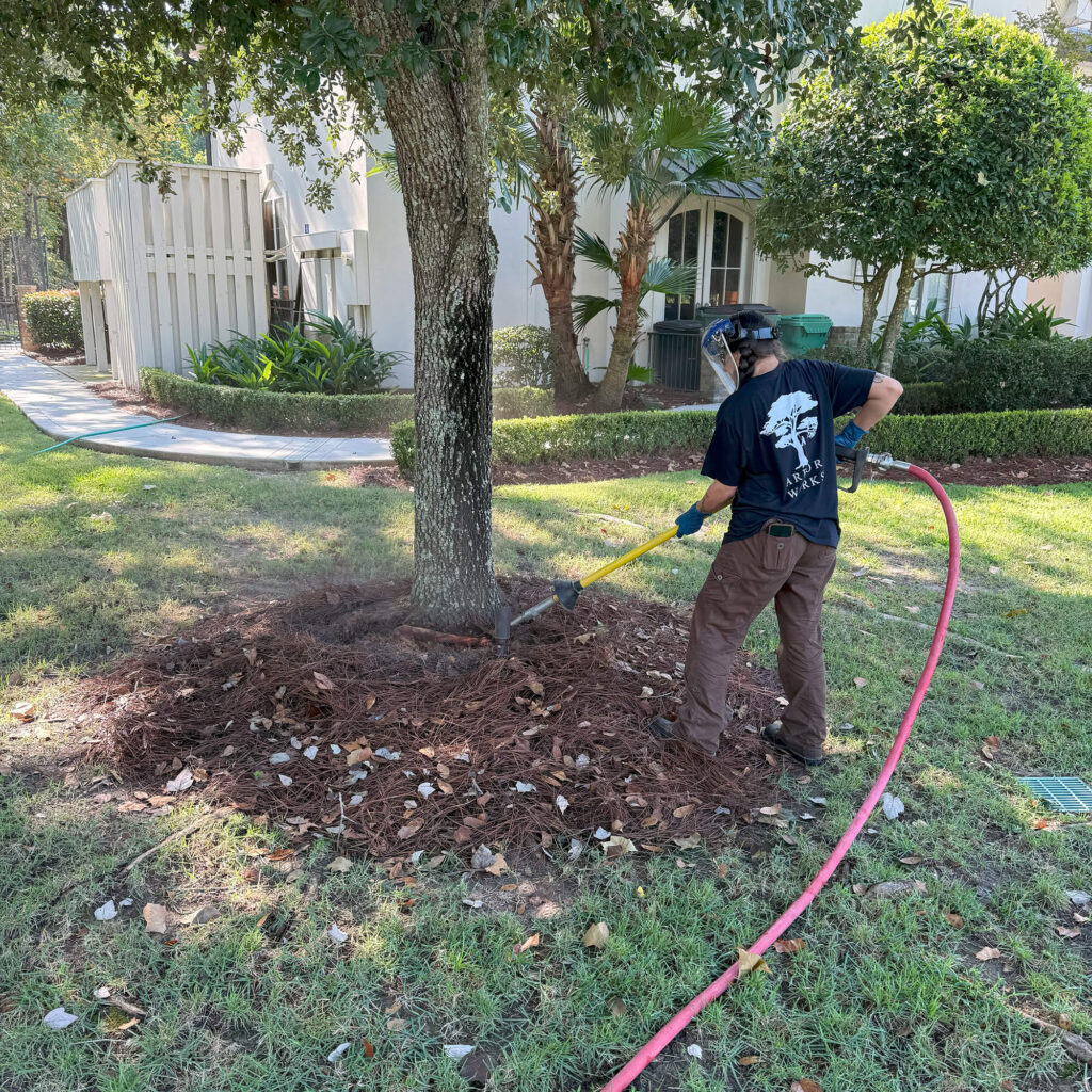 A person wearing safety gear uses Root Collar Excavation Northshore equipment with a long hose to remove mulch or soil from the base of a tree in a landscaped yard near a white building.