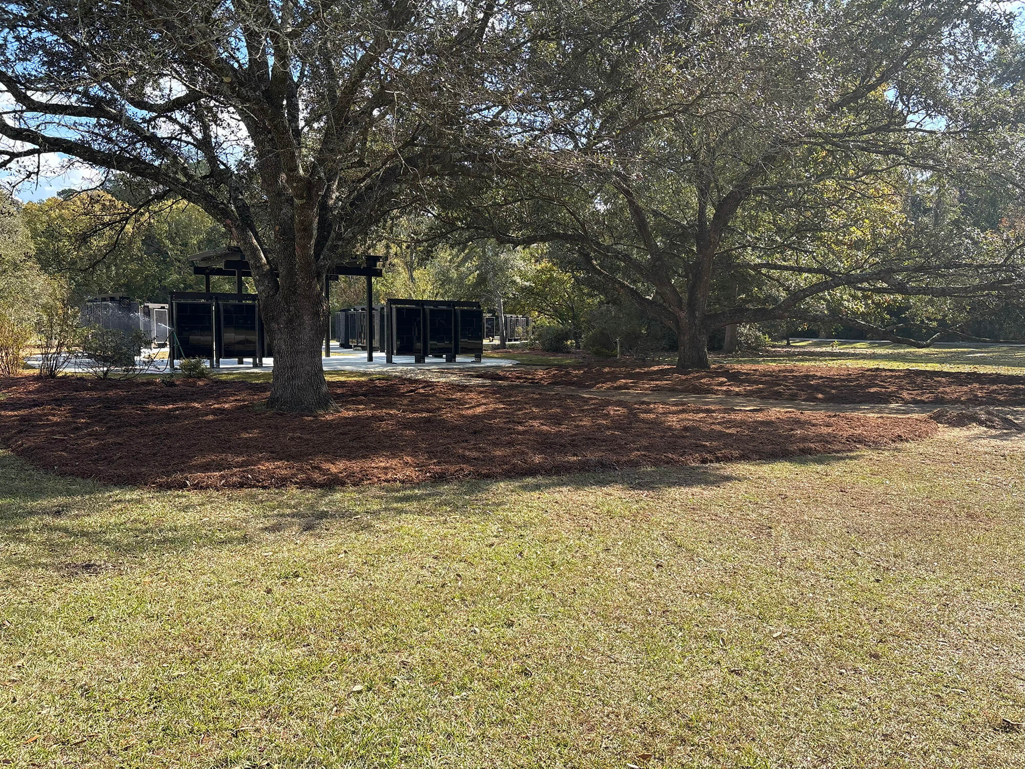 A grassy park area with large trees in the foreground features Surface Mulch Installation under the trees, while several black rectangular structures are visible in the background.