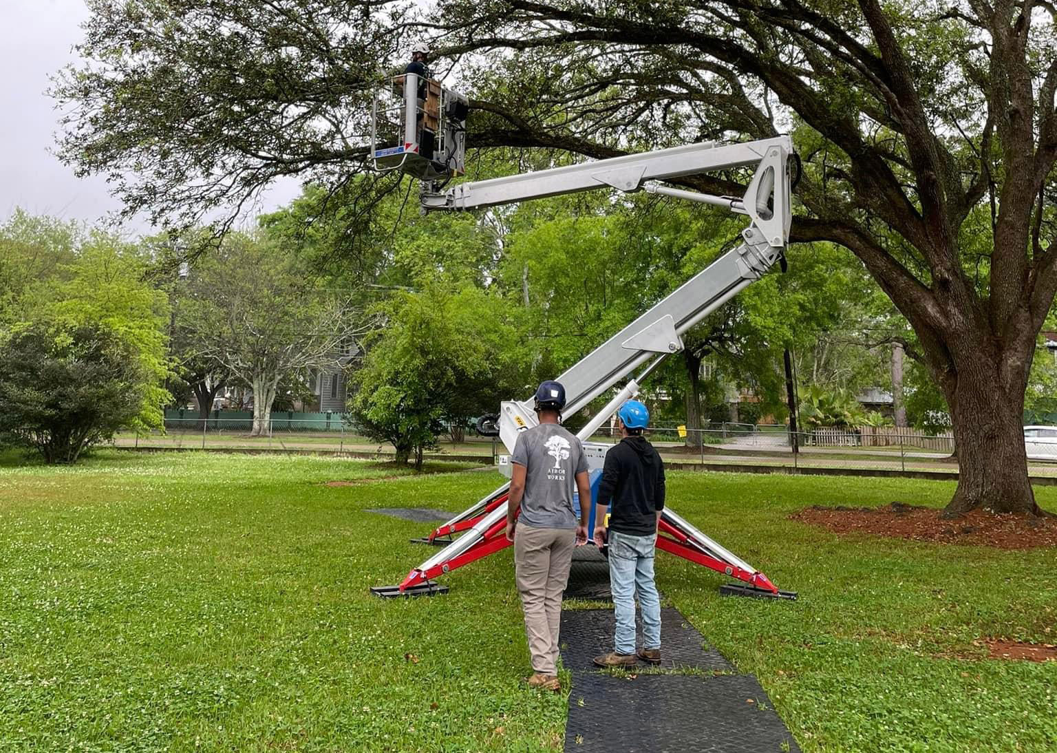 Two people stand on grass observing a third person elevated in a white articulated lift to trim branches from a large tree. Tree Service Covington uses red supports for stability, with black mats protecting the ground beneath the equipment.