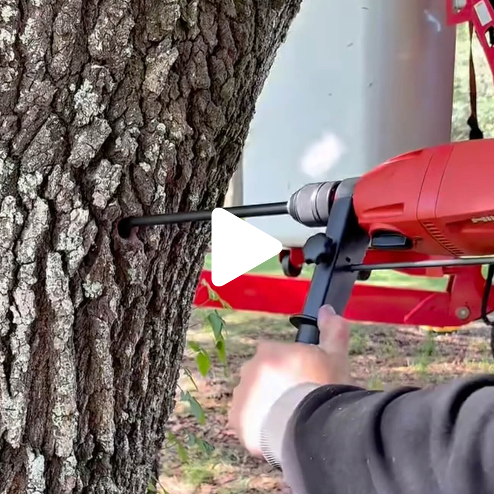 At a learning center outdoors, a person is using a red power drill to bore a hole into the rough bark of a tree, carefully steadying the drill during operation.