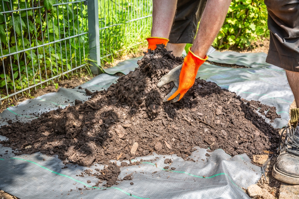 does mulch prevent weeds