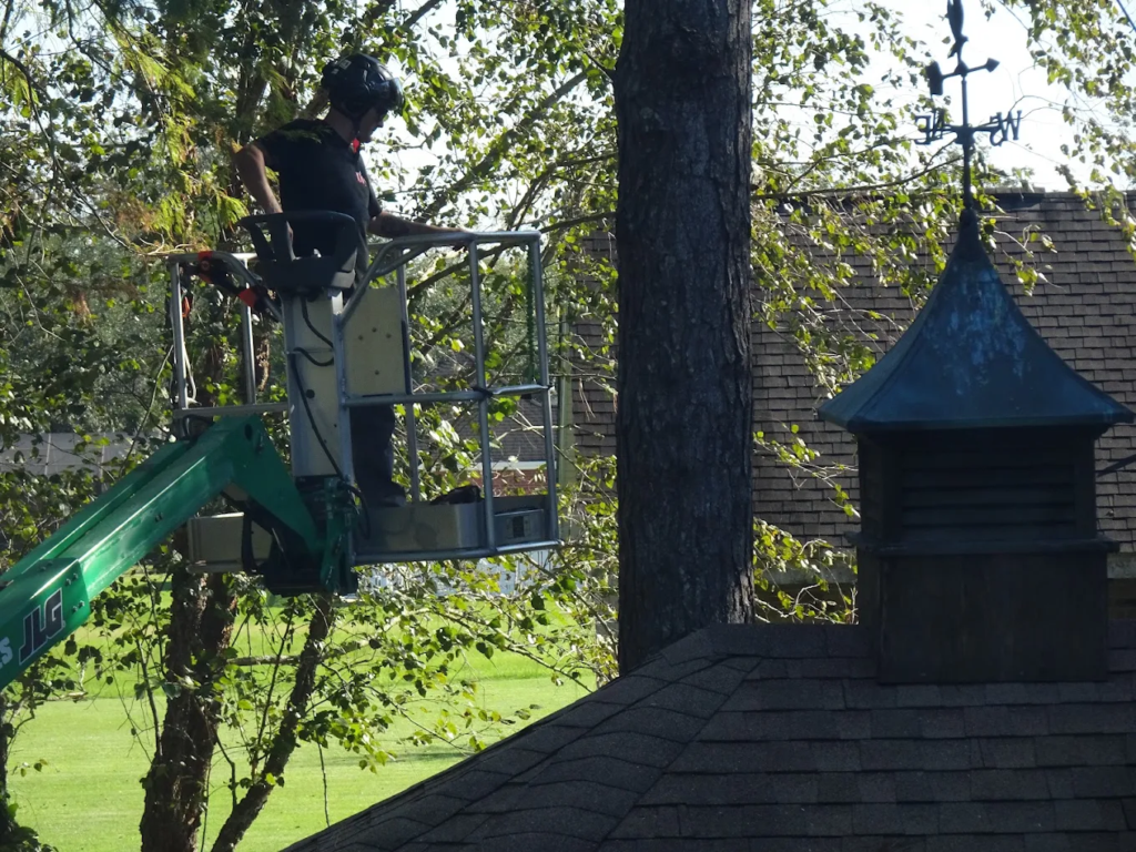 how to do risk mitigation plan
